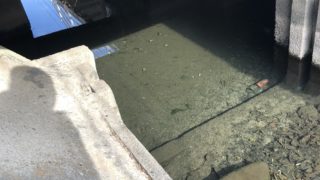 ガサガサのポイント(用水路)