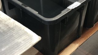 種親メダカの容器