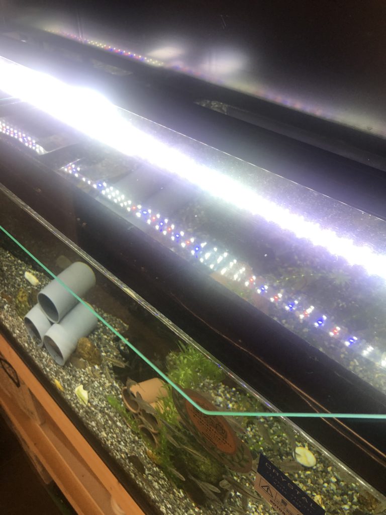 1200水槽のLED照明