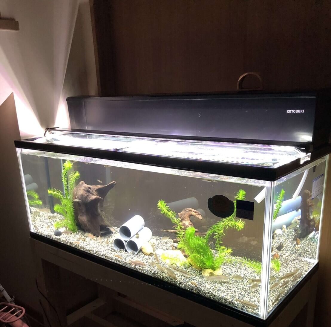 巨大水槽のledライトが故障 買い直す 修理する ひろしゃんのメダカブログ メダカの果てまでイッテq