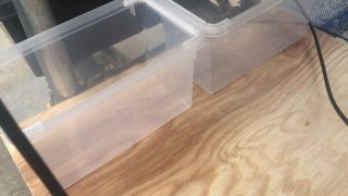 メダカの飼育容器