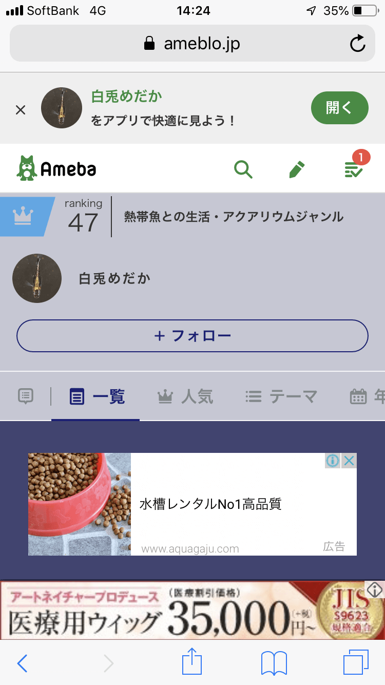 白兎めだかのアメブロ