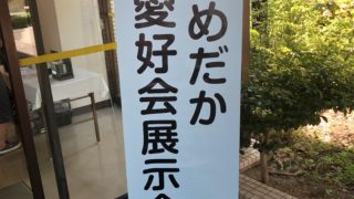 2019年秋の鑑賞めだか展示会