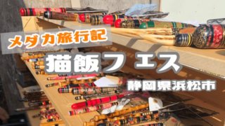 メダカ旅行のアイキャッチ