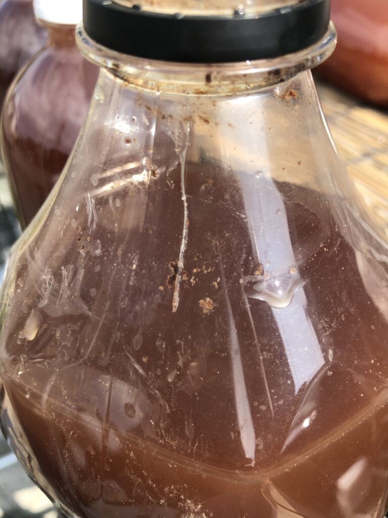 光合成細菌の作り方(メダカのエサ)