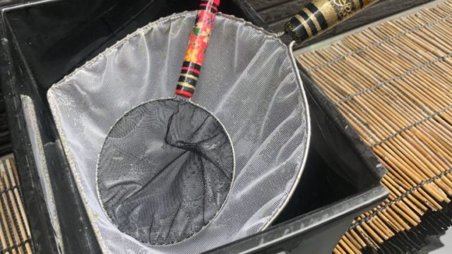 メダカ選別用のタモ網(丸網)