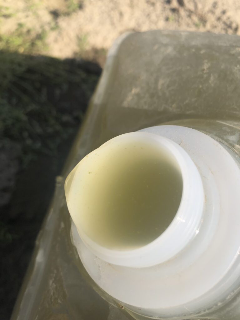 光合成細菌の作り方(ビニールハウスで加温)失敗