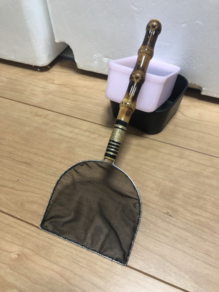 メダカ選別用のタモ網(プレゼント企画)