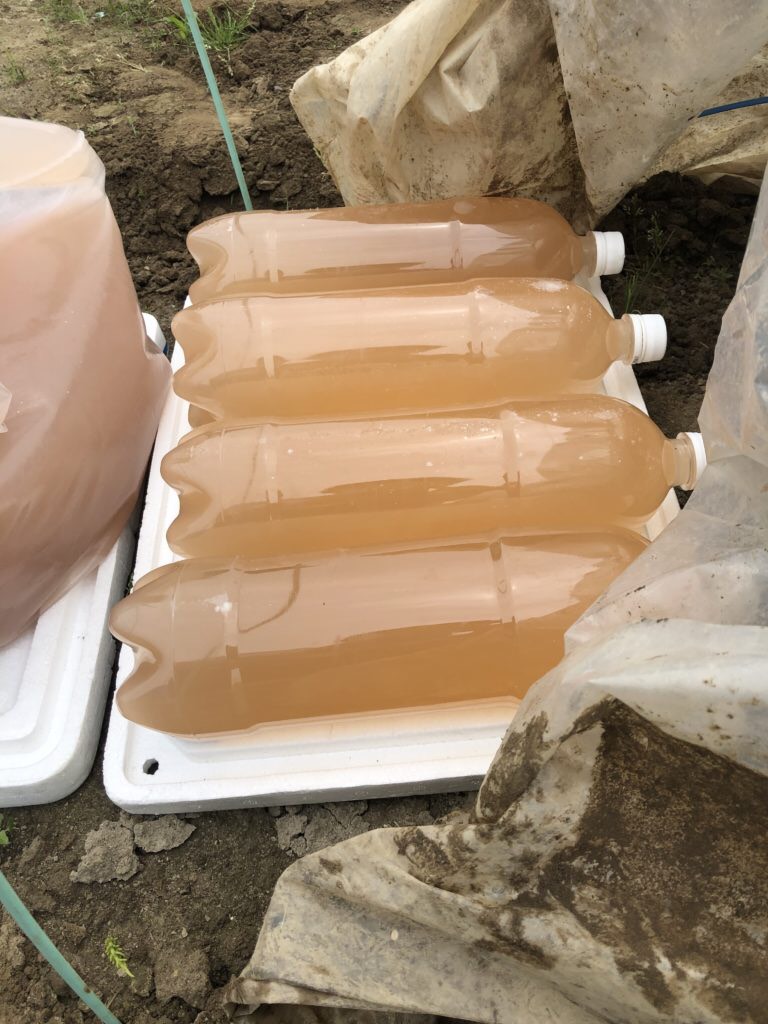 光合成細菌の作り方(ビニールハウスで加温)