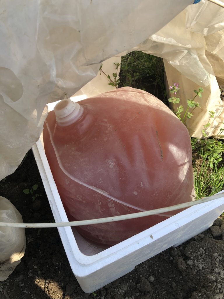 光合成細菌の作り方(ビニールハウスで加温)
