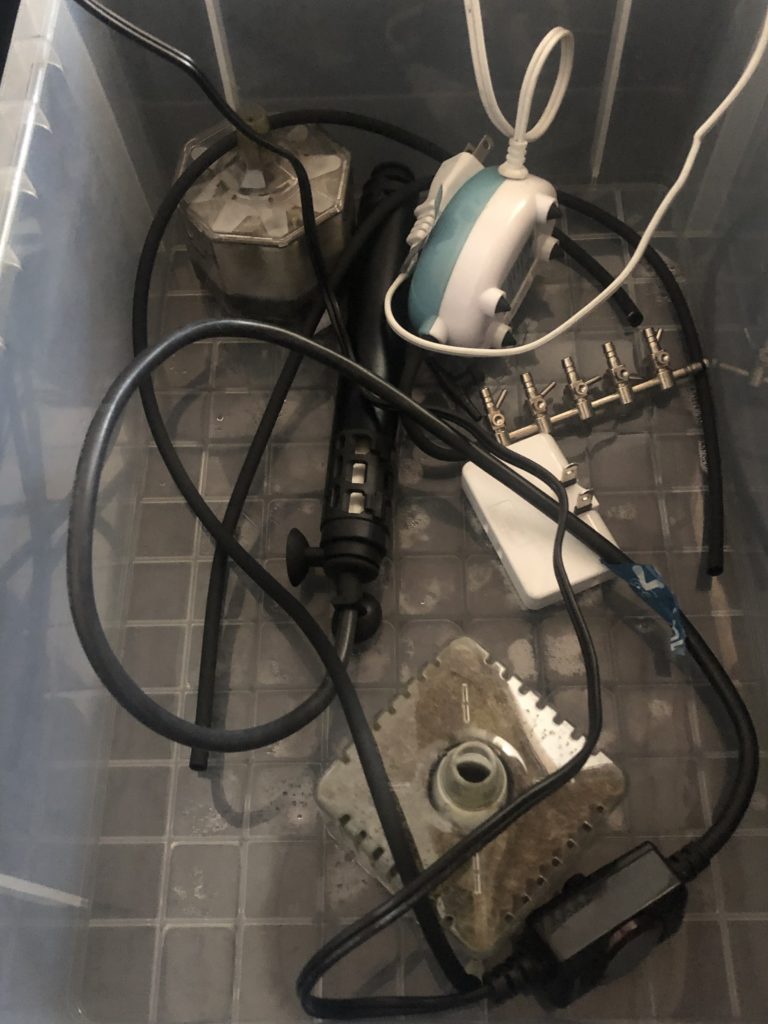 メダカの冬越しと加温する道具