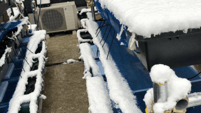 メダカの冬越しと雪とメダカラック