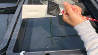 メダカ選別用のタモ網(使い方)