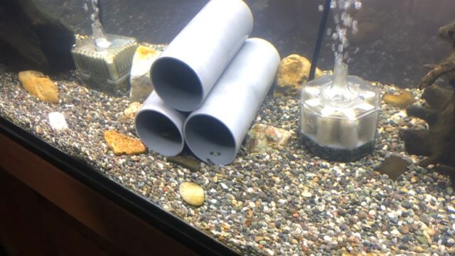 ろ過器
