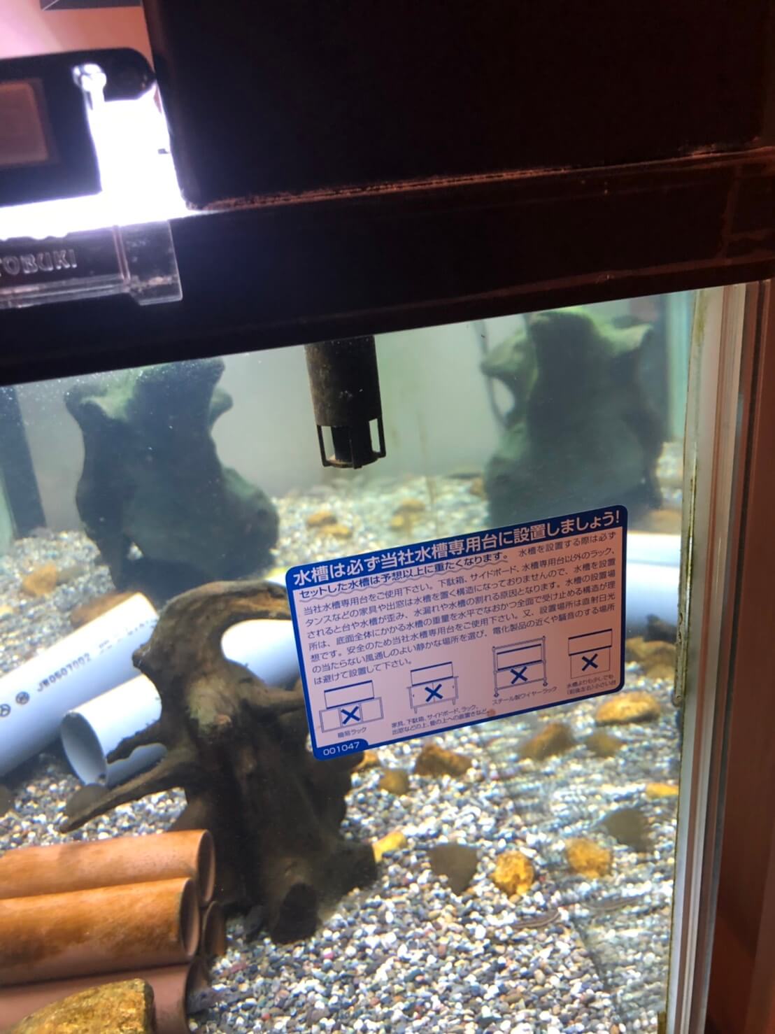 120サイズ水槽