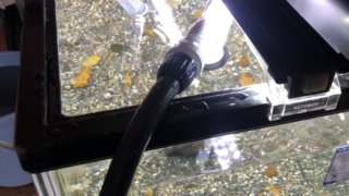 1200水槽の掃除
