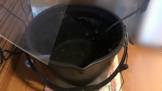 加温飼育中の三食幹之メダカ