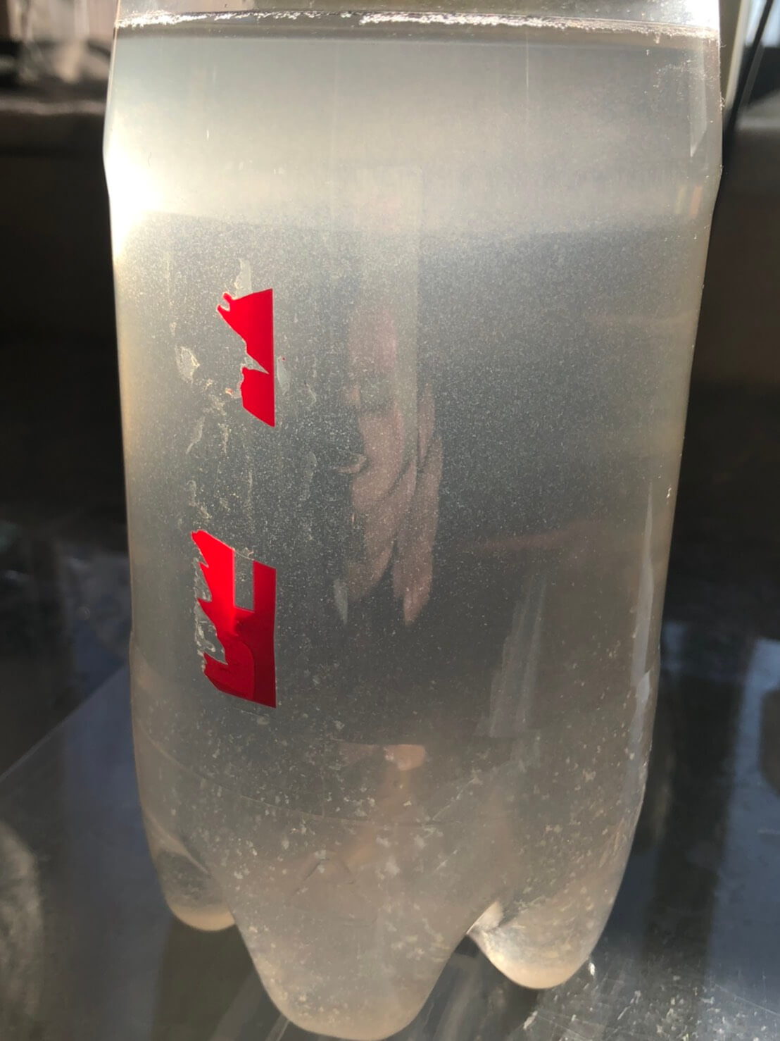 1Lのペットボトル容器でゾウリムシの培養中