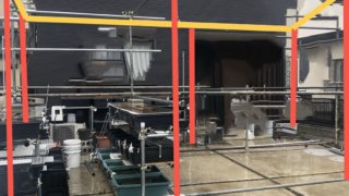 単管パイプを使ったメダカ小屋作り
