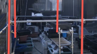 単管パイプを使ったメダカ小屋作り