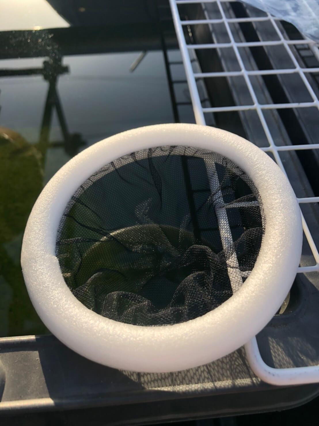 浮き輪タイプのタモ網