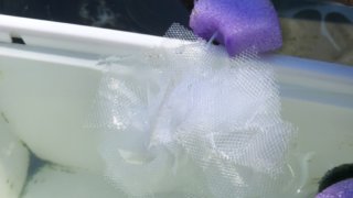 ころたまボール風の産卵床