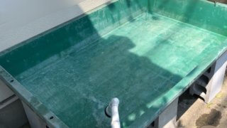 メダカの飼育容器