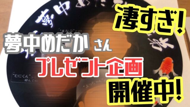 夢中めだかのプレゼント企画のタグ