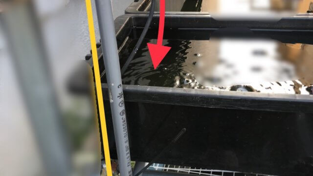 メダカの飼育容器に取り付けたエアレーション