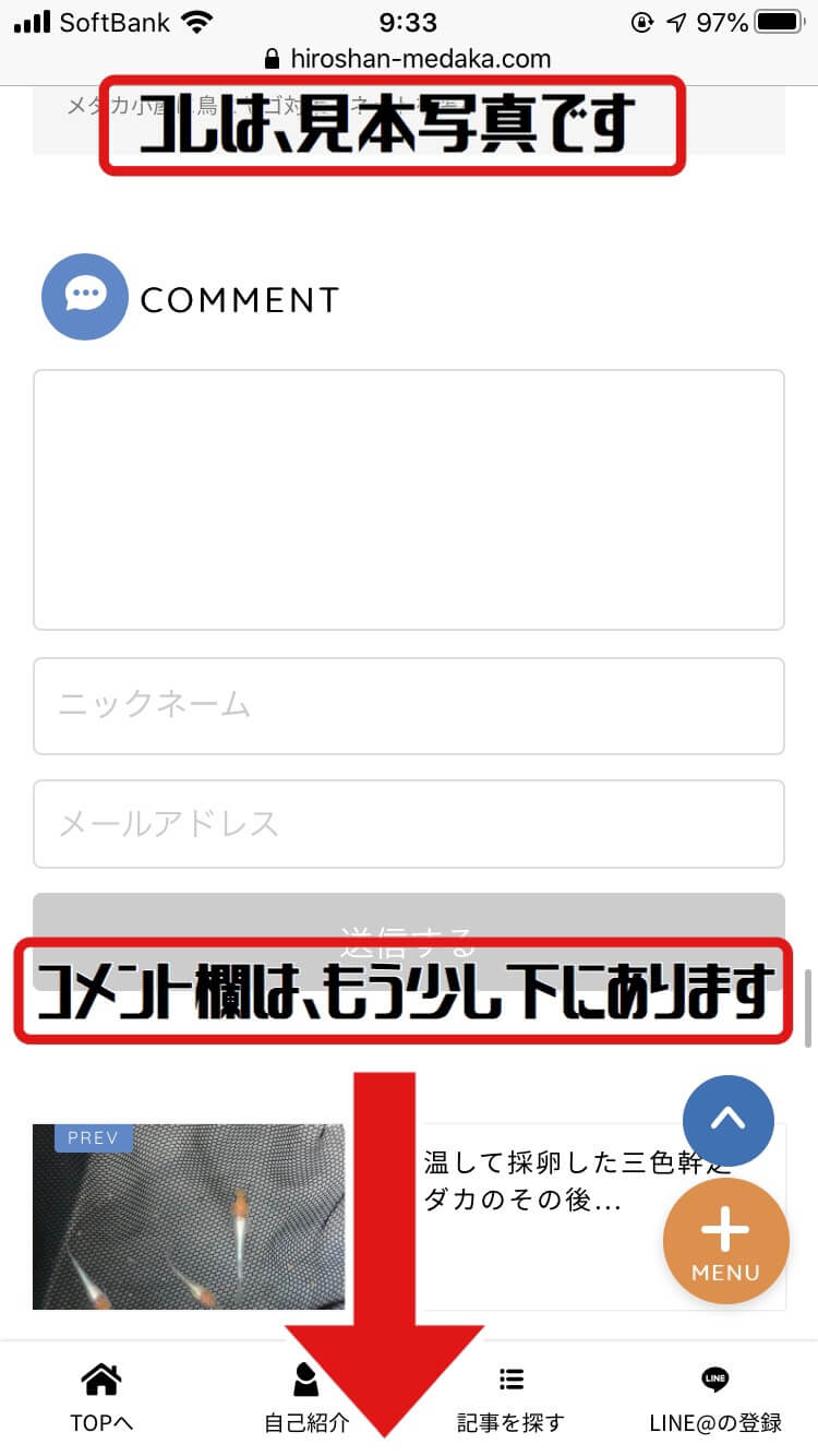 コメント欄