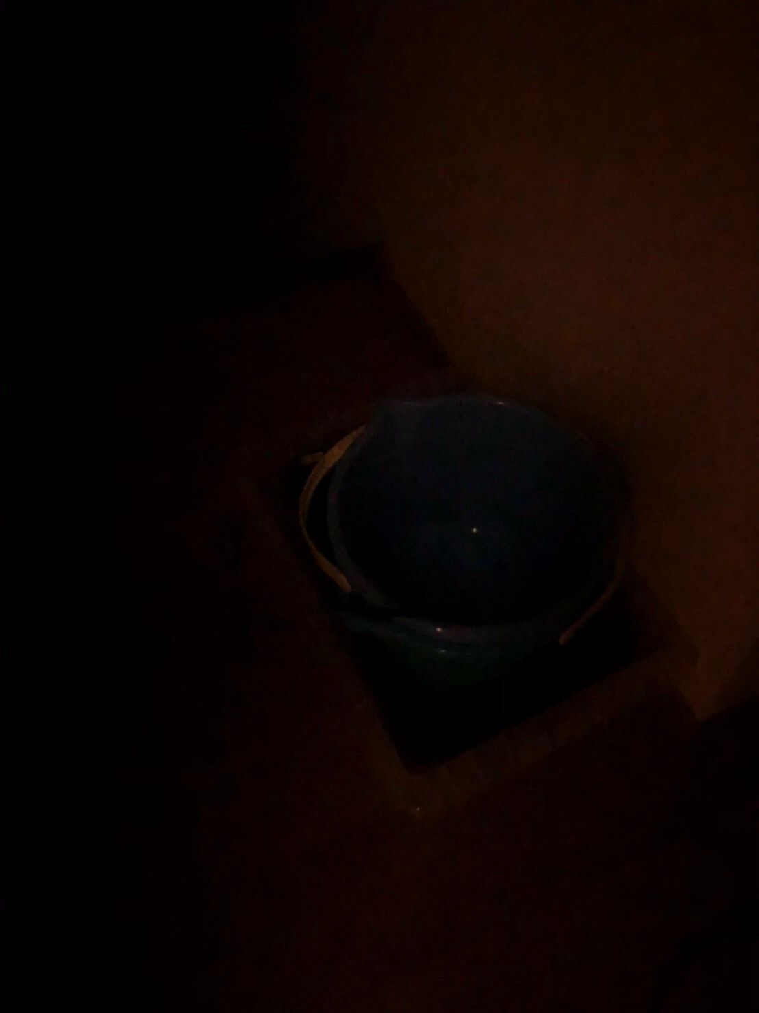 メダカの飼育容器