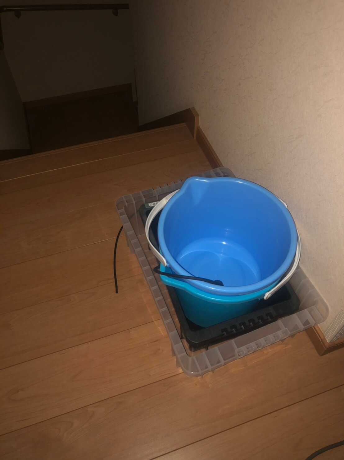 メダカの飼育容器