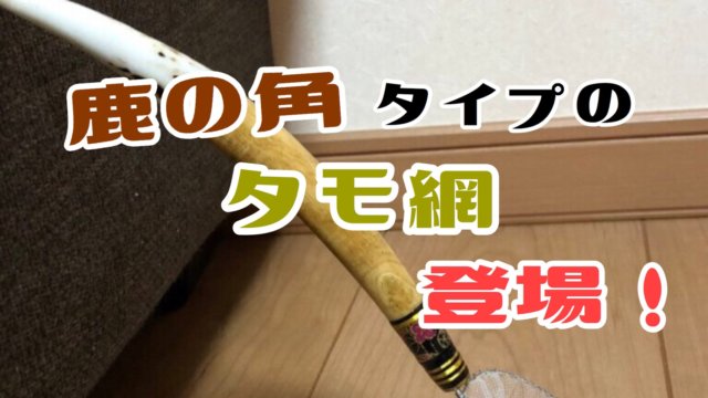 鹿の角が持ち手についたメダカの選別用タモ網