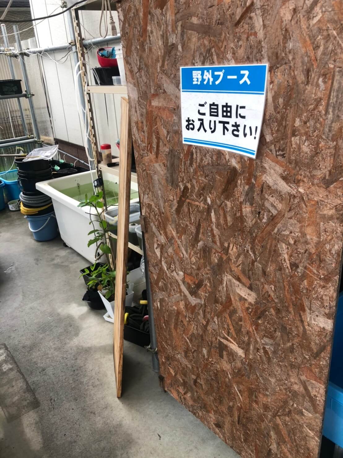 めだか屋BIO-LABO(バイオラボ)奈良県大和高田市のメダカ屋で販売されてるメダカ