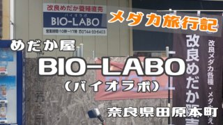 バイオラボのアイキャッチ