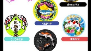 メセナライフメダカ直売所で開催されたメダカ販売イベント(2020年9月27日)