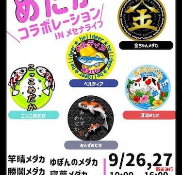 メセナライフメダカ直売所で開催されたメダカ販売イベント(2020年9月27日)