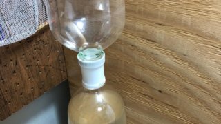 ゾウリムシの浄化実験で使ったロート