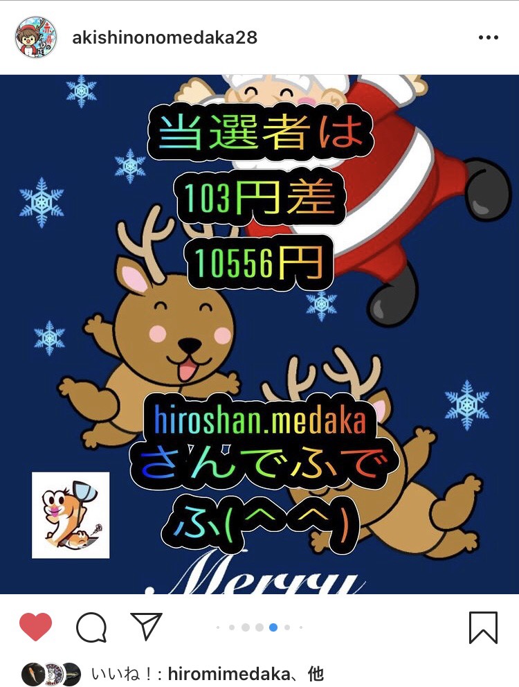 タモ網のクリスマスプレゼント