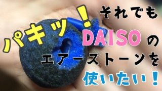 エアレーションのアイキャッチ