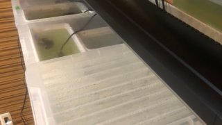 メダカの加温飼育容器