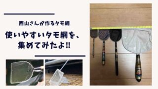 タモ網のアイキャッチ