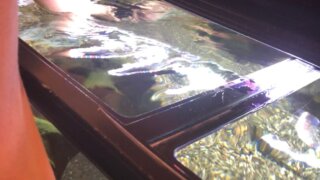 120cmサイズの水槽の掃除