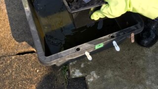 メダカの水換え方法