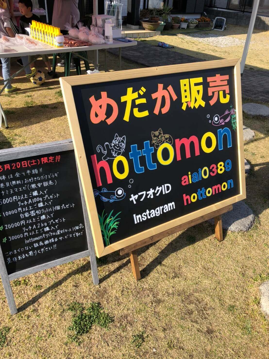 静岡県浜松市のメダカ販売店hottomon