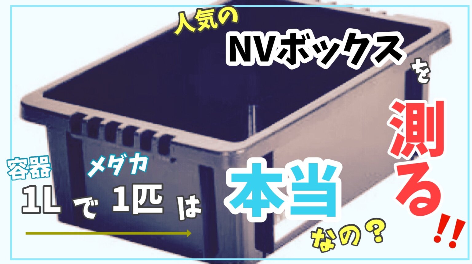 メダカ飼育容器 NVボックス13L 6個セット オーバーフロー加工済