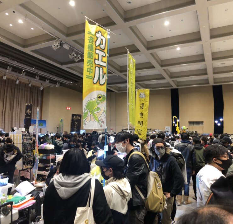 名古屋で開催された爬虫類の販売イベント