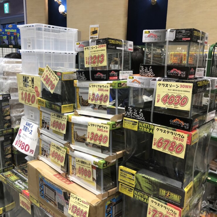名古屋で開催された爬虫類の販売イベント