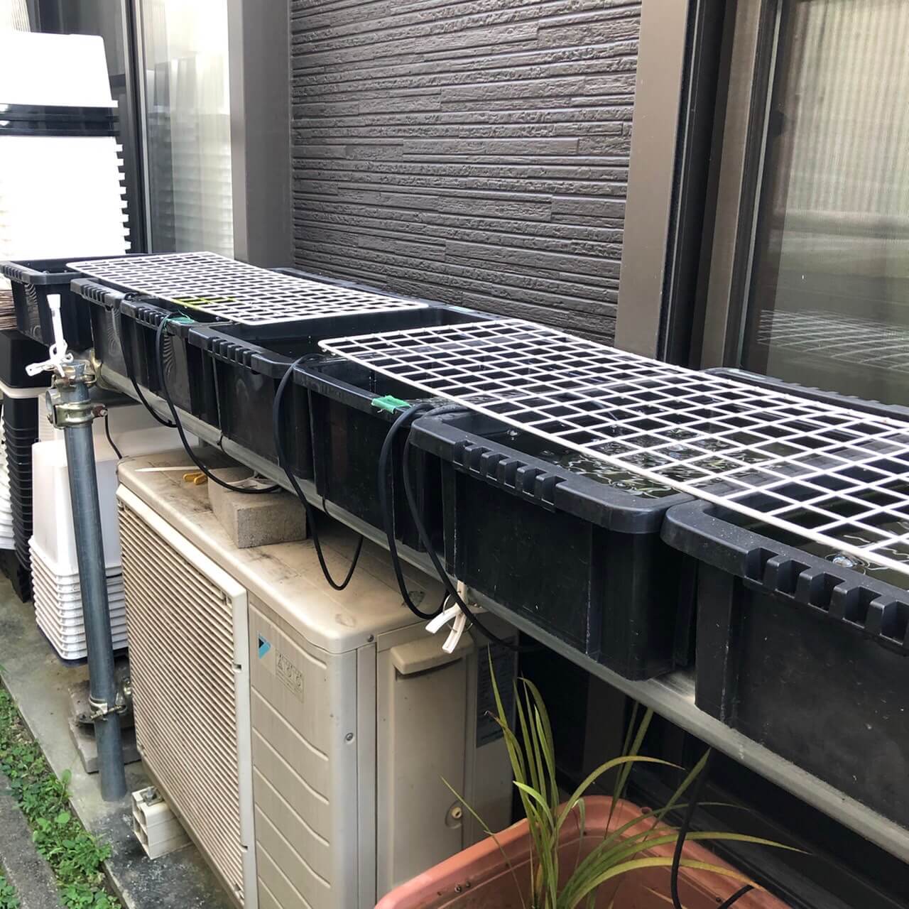 小さな容器で、日陰の場所で、メダカを冬越しさせる方法 | ひろしゃん