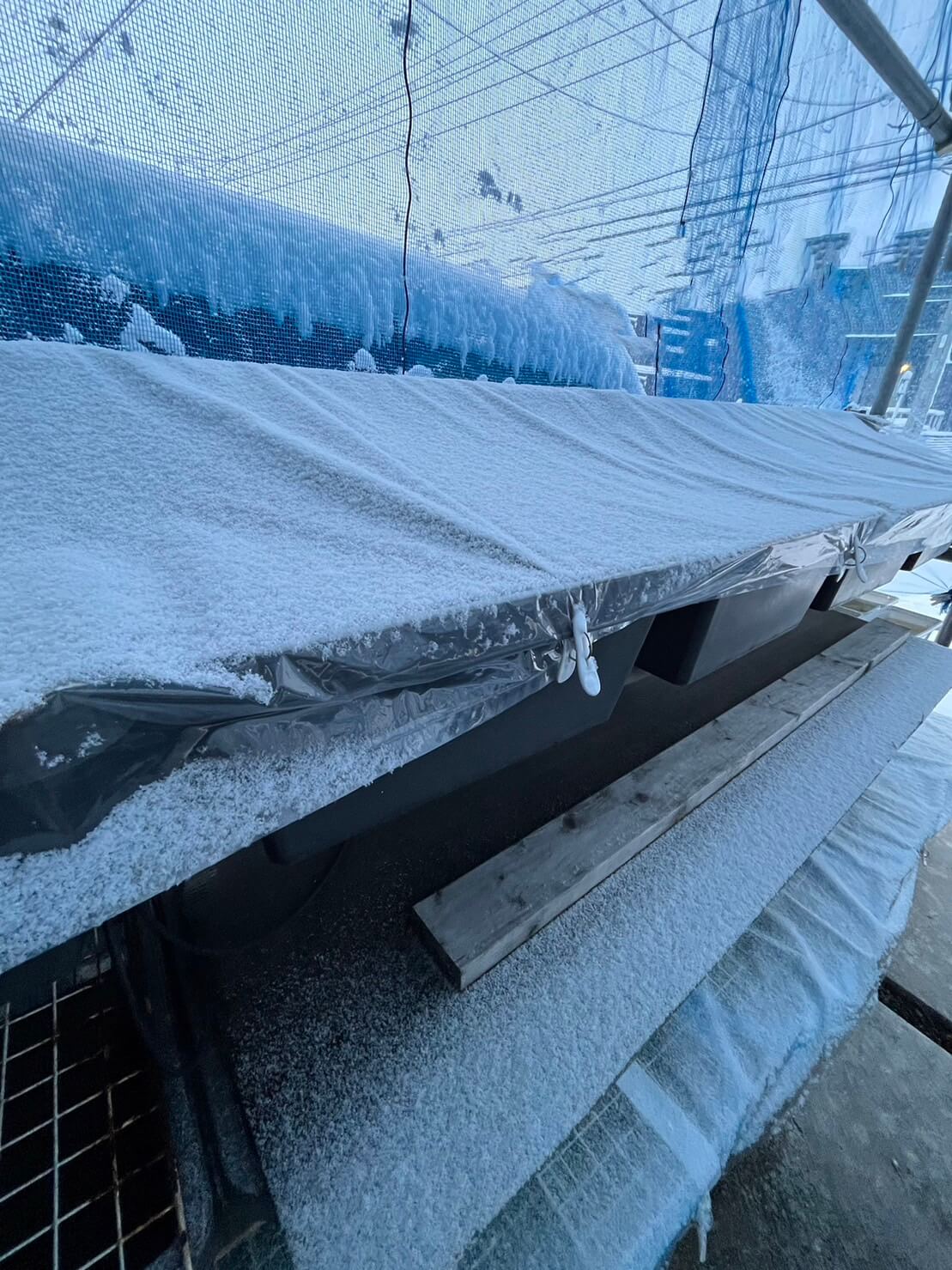 メダカの越冬と飼育容器の凍結対策と飼育場の様子(ビニール袋とポリカーボネート板)